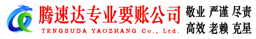 岱岳清债公司